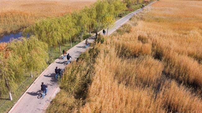 走遍中国·甘肃——中国文促会好意思术家写生创作行径走进甘肃张掖