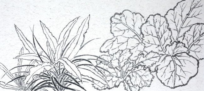 老圃贺兰山写生（之一）34×68CM2025年9月