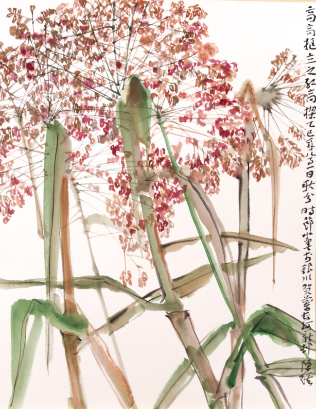 陈琪 红高粱写生   36×48CM  2025年9月